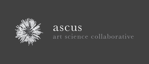 ascus logo
